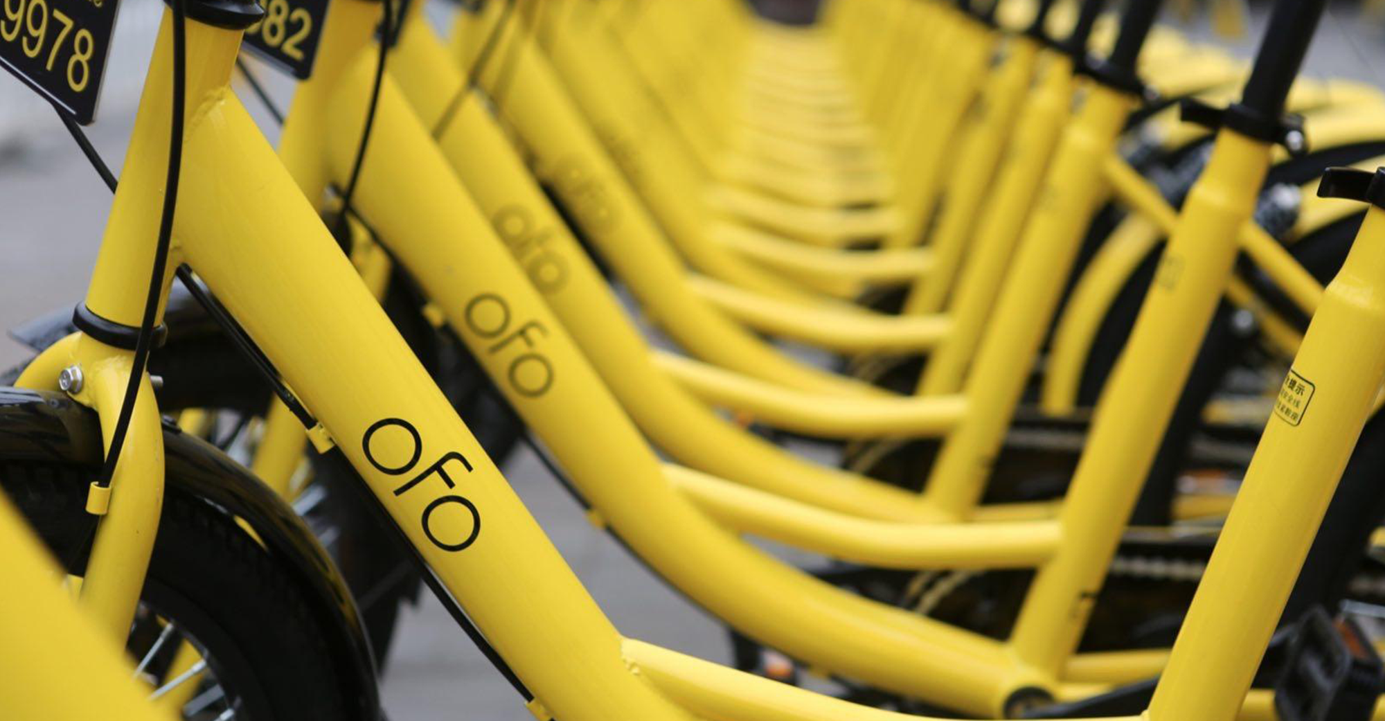 ofo in Deep Trouble? Co-founder Denies Rumored COO Resignation and Layoff