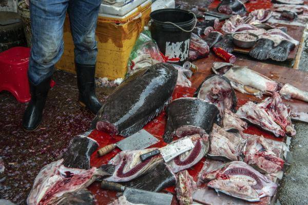 A wet market in Shenzhen. Taken from wosu.org